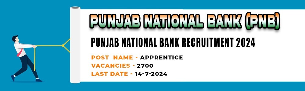 PNB Apprentice Recruitment 2024